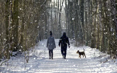 Winter activities and benefits